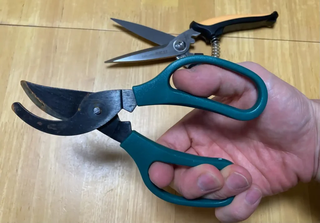 ダイソーの剪定ハサミを持っている写真