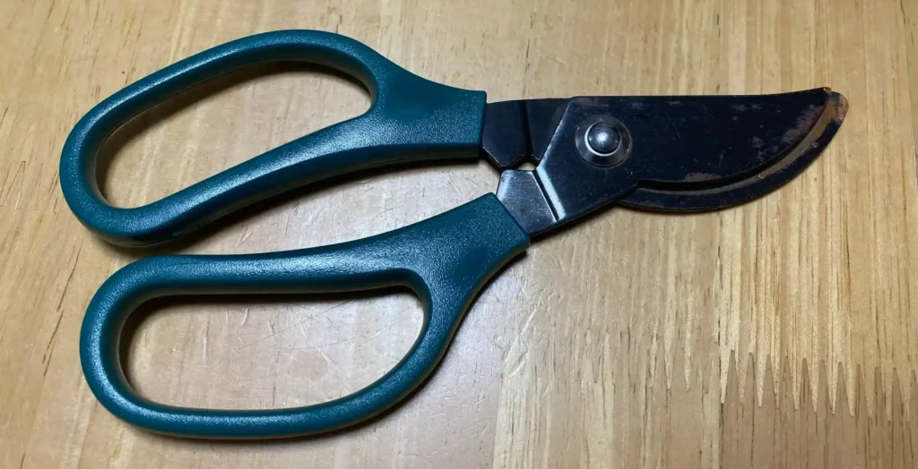 ダイソーの盆栽ハサミの写真