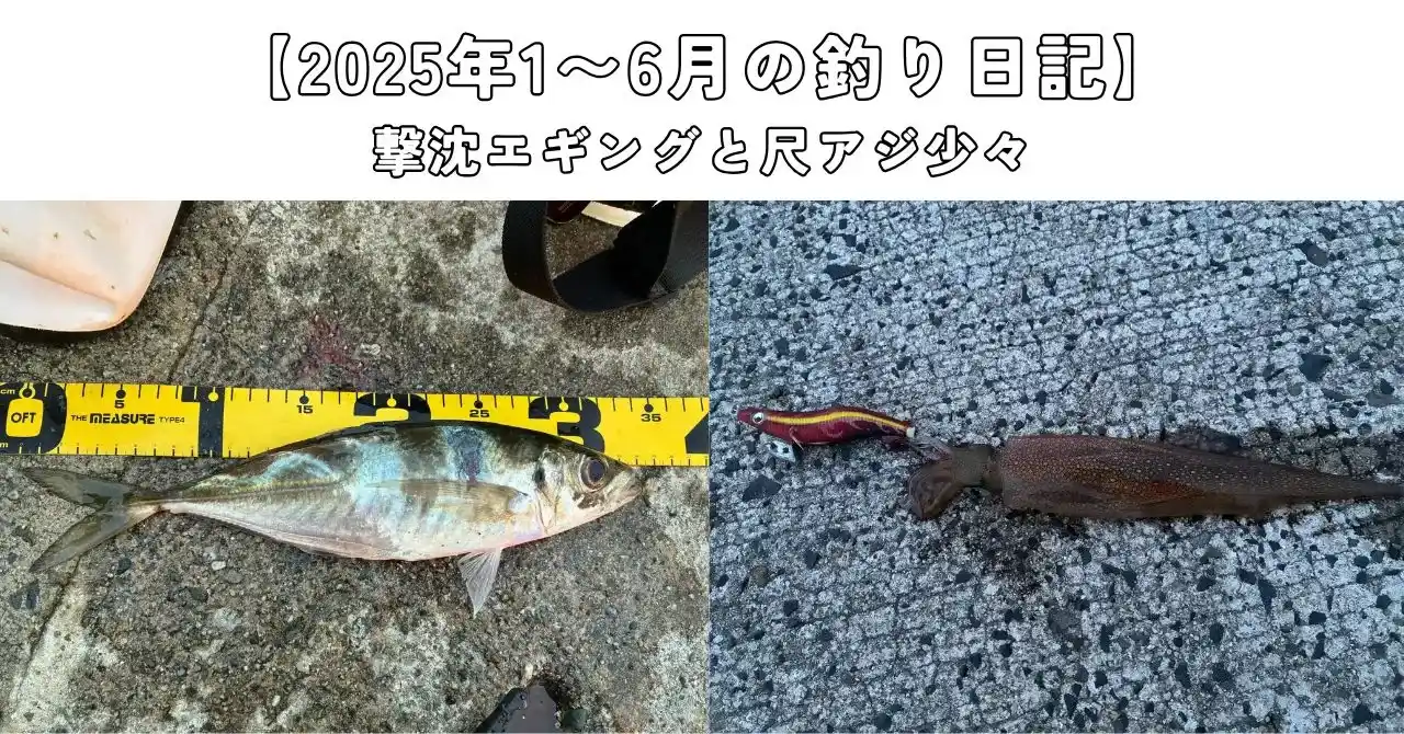 2025年1〜6月の釣り日記のアイキャッチ画像