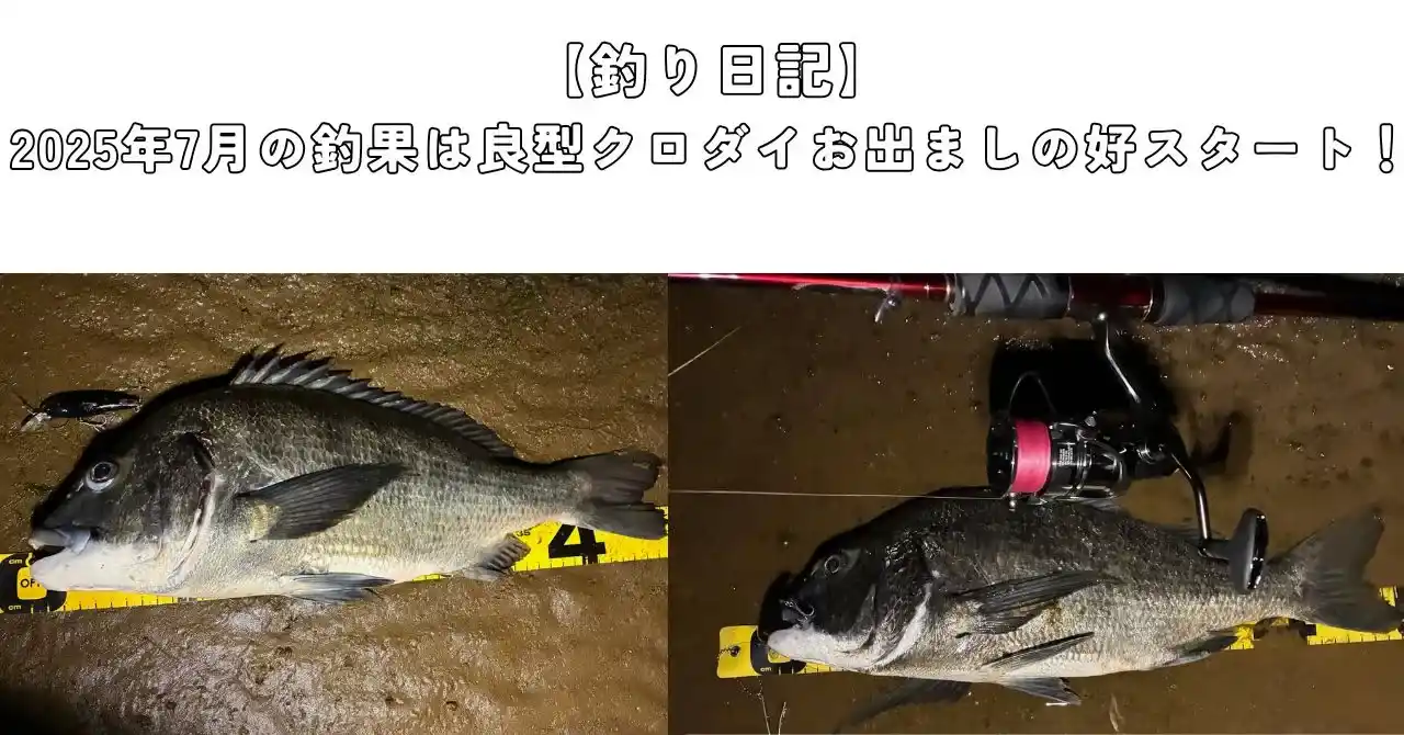 2025年7月の釣り日記のアイキャッチ