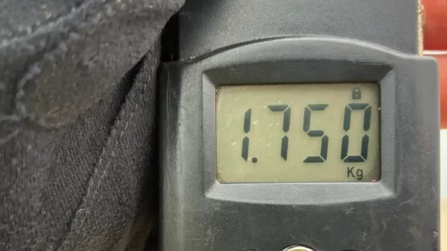 2026年5月15日アオリイカ36cmの重量